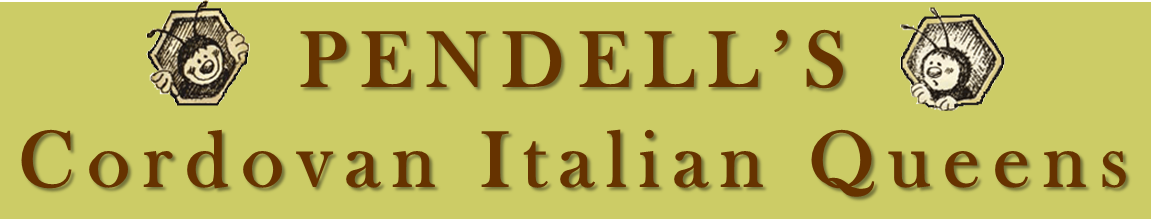 Pendell's Cordovan Italian Queens
